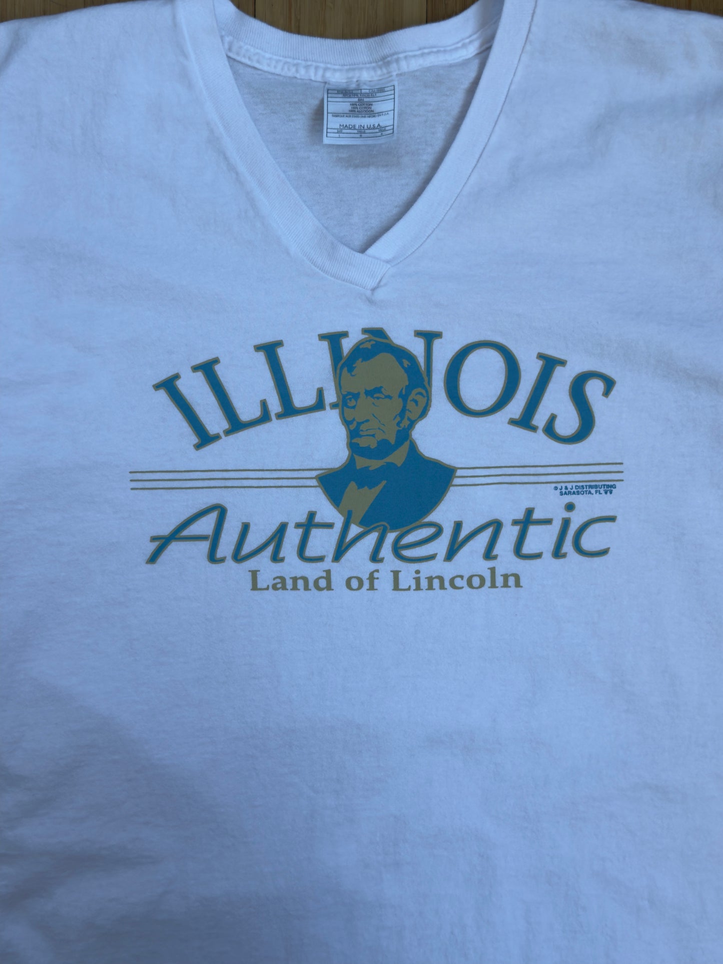 90s Illinois Land of Lincoln V-Neck Tee