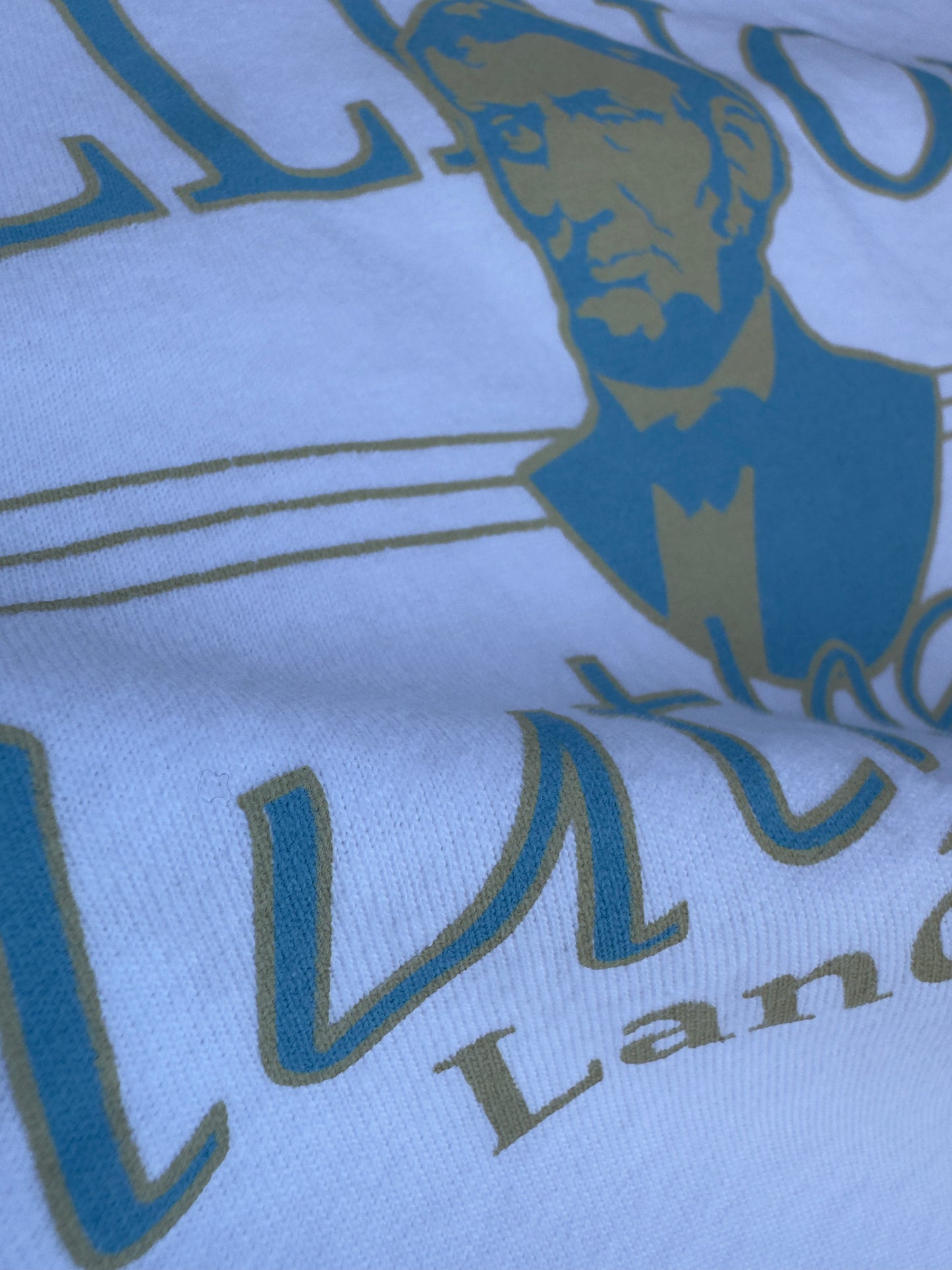 90s Illinois Land of Lincoln V-Neck Tee